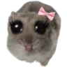 prettyhampter