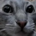 __