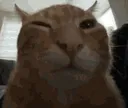 buh
