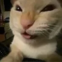 hehehehehehehehehe