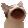 popCat