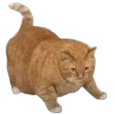 6386wholesomechonker