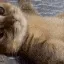 Hiiii