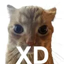 d_XD