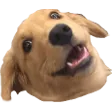 wowee