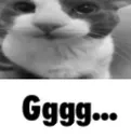 Gggg