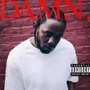 DAMN DAMN