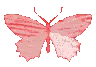 redbutterfly