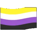 NonbinaryFlag