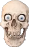 skull_4