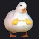 shyduck