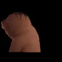 chinesebeaver