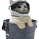 catsittingverycomfortablebuthead catsittingverycomfortablebuthead