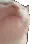 Cat_jam