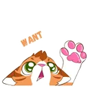 orange_cat_want Discord Emoji