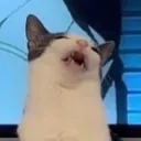 emoji_42