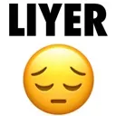 liyer