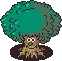 Reforestation
