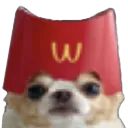 McDog