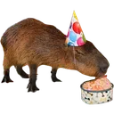 Capybirthday