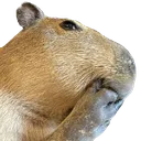 Capythinka