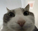 Stare Discord emoji