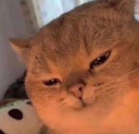 Scheming Discord emoji