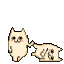 1105299006785065031