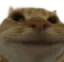no