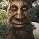 wisemysticaltree