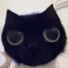Gato_ojon