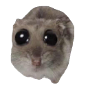 hamster Discord emoji