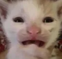 AAAA AAAA