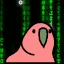 matrixparrot
