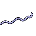 fillyPartyblower2