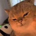hehehe