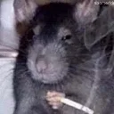 rat_mood