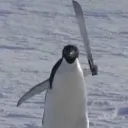 pingu_knife