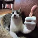 real_thumbs_up_cat