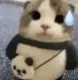 ermy