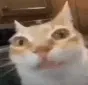 Erm