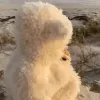 000