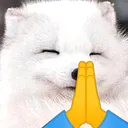 snowfox_prayge