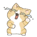emoji_62 emoji_62