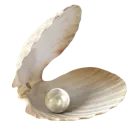 01_wclam