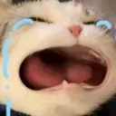 WAHHHHH WAHHHHH