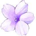 Purpleflower2 Discord Emoji