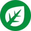 grass