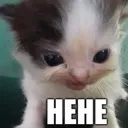 Hehe