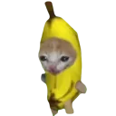 Banana Cat banana_cat Discord Emoji